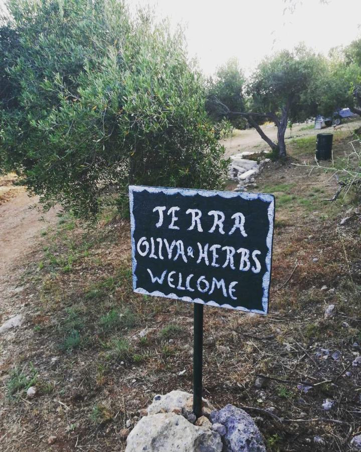 Terraoliva&Herbs Vatos Exterior photo