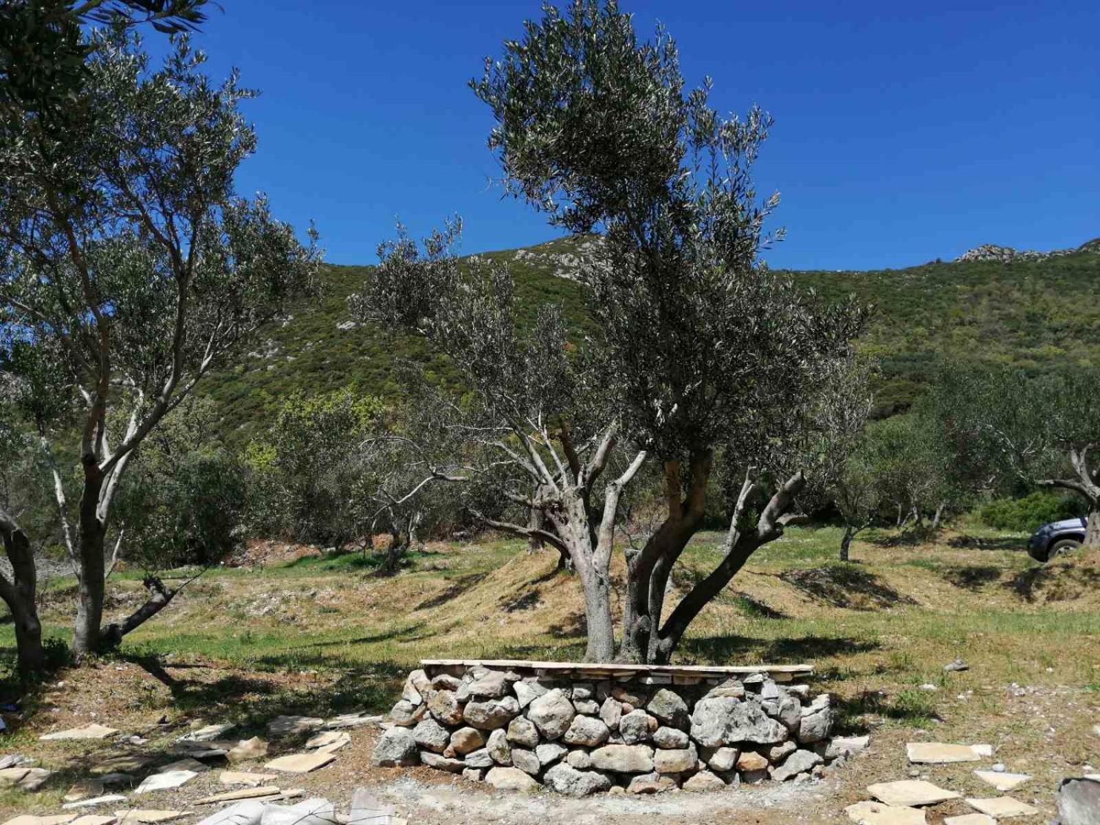 Terraoliva&Herbs Vatos Exterior photo